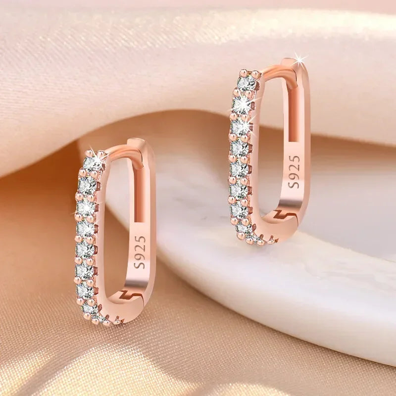 Sophisticated Hoop Earrings